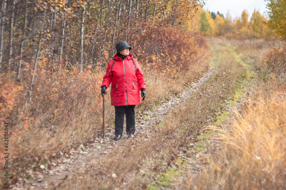 Obraz premium An elderly woman walks in the autumn nature.