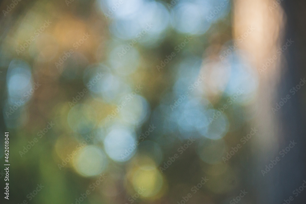 Naturaleza abstracta Naturaleza abstracta