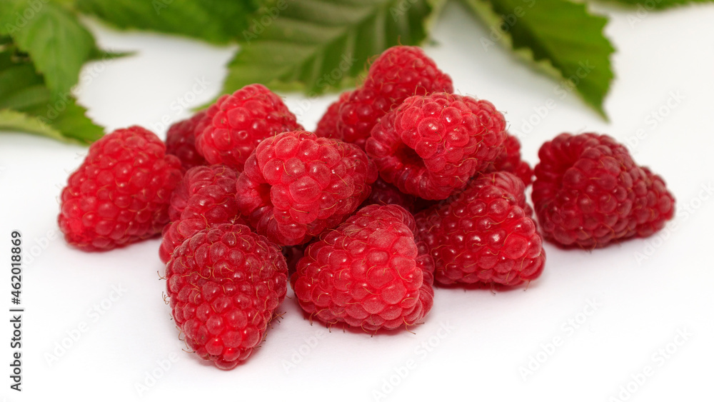Raspberries. Studio image of fresh harvest of seasonal raspberry berries against white background with soft shadows Raspberries. Studio image of fresh harvest of seasonal raspberry berries against white background with soft shadows