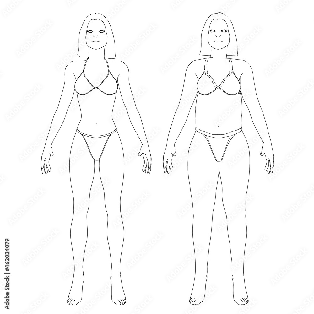The contour of a girl in underwear, a slim and fat girl. The process of obesity of the girl body. Front view. Vector illustration The contour of a girl in underwear, a slim and fat girl. The process of obesity of the girl body. Front view. Vector illustration