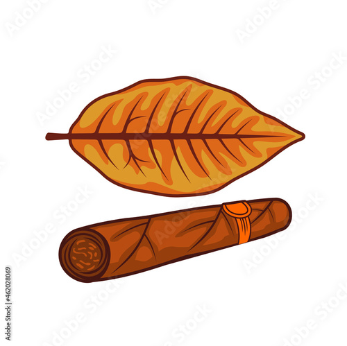 tobacco leaf and cigar illustration