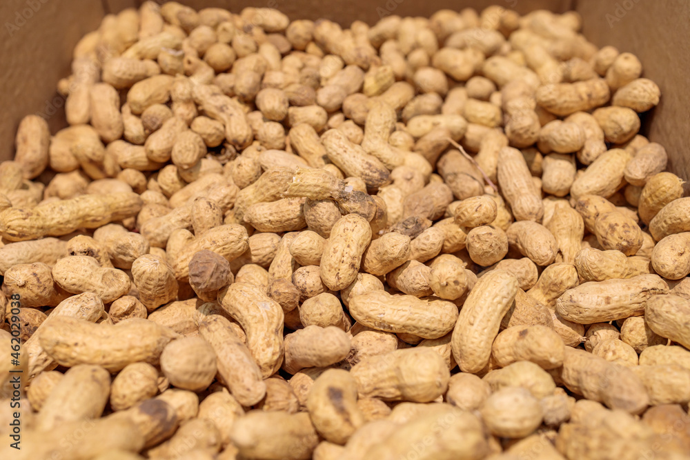a lot of peanut on the counter of the store a lot of peanut on the counter of the store