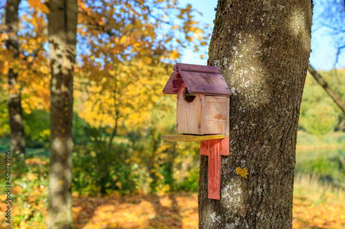 wooden birdhouse for birds set on tree in park