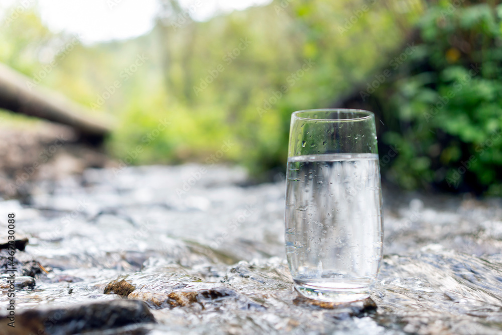 a glass of clean transparent drinking water in a transparent glass on a stone in a green forest near a stream or mountain spring. healthy food and diet, beautiful background copy space a glass of clean transparent drinking water in a transparent glass on a stone in a green forest near a stream or mountain spring. healthy food and diet, beautiful background copy space
