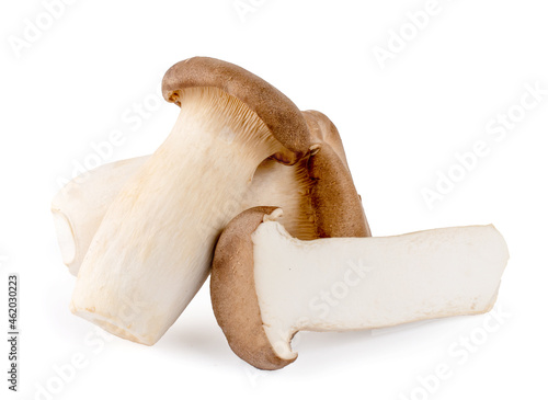 King oyster mushroom Pleurotus eryngii isolated on white background photo