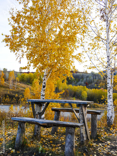 picnic table in the autumn forest, picnic in the autumn park, autumn landscape