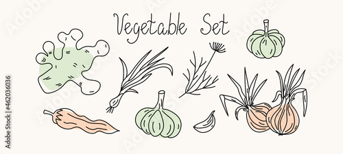 Vector Set of vegetables in the style of doodle. Drawn vegetables and hand-drawn text. Illustration on an isolated white background with colored spots.