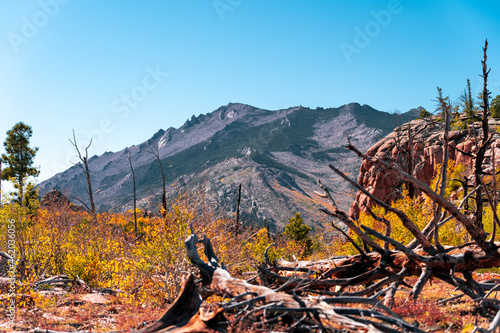 Laramie Peak Mountain in Wyoming Forest