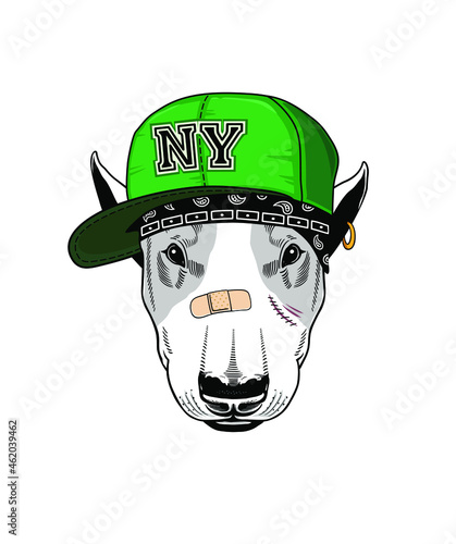 Portrait of Dog in a cap, Print for poster or t-shirt, stickers. Vector illustration American Staffordshire Terrier
