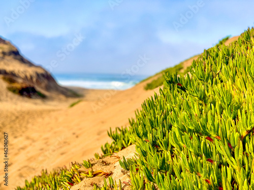 California coast near Monterey