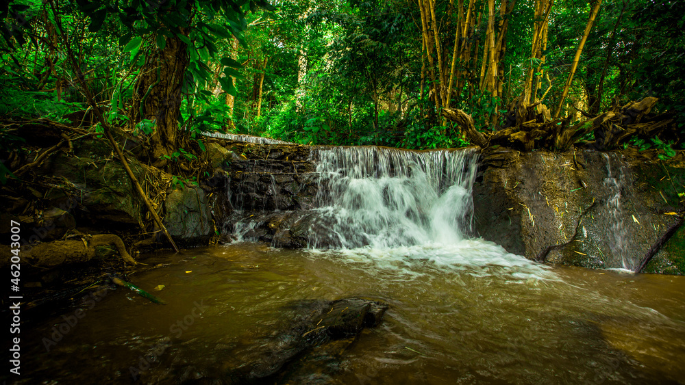 Obraz premium The natural background of waterfalls that blur the flow of water, with various tree species surrounded and boulders of various sizes, the beauty of the ecosystem and the jungles of forests.