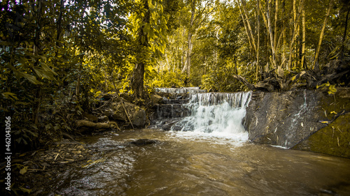 Fototapeta Naklejka Na Ścianę i Meble -  The natural background of waterfalls that blur the flow of water, with various tree species surrounded and boulders of various sizes, the beauty of the ecosystem and the jungles of forests.