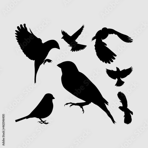 sparrow bird eagle albatros silhouette set logo icon vector design inspiration