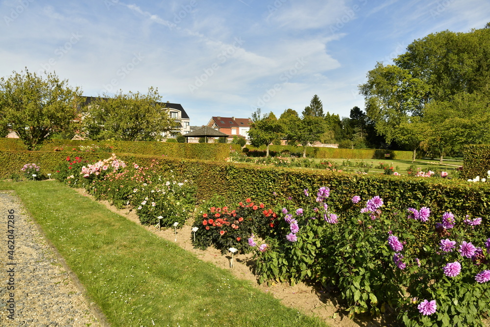 Le jardin des dahlias avec ses coins de repos ,pelouses ,chemins ,haies et surtout sa collection de fleurs au parc d'Enghien en Hainaut 
