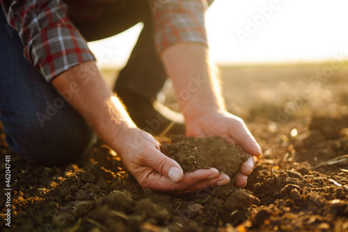 Expert hand of farmer checking soil health before growth a seed of vegetable or plant seedling. Agriculture, gardening, business or ecology concept.