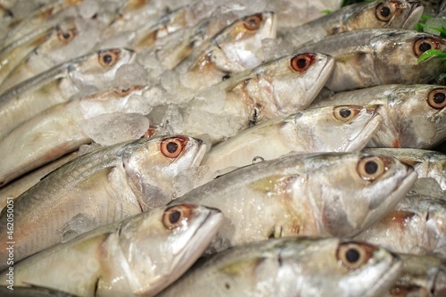 fresh fish on the market © Aris Ari Agung