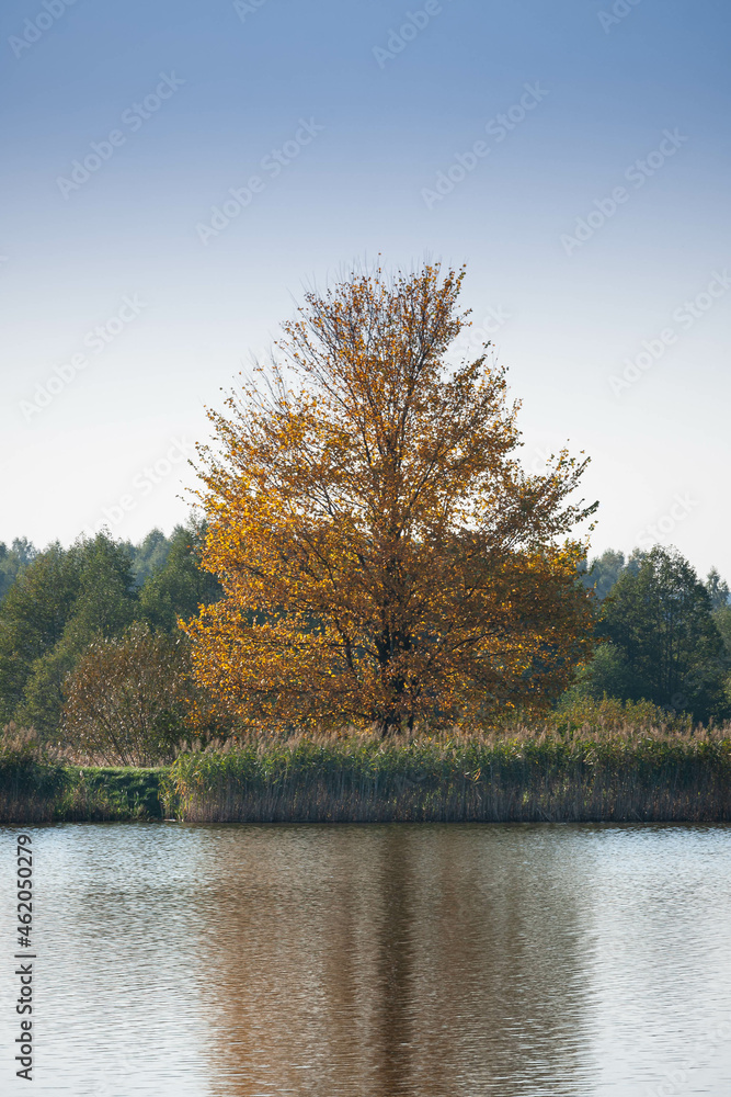 Jesień nad jeziorem