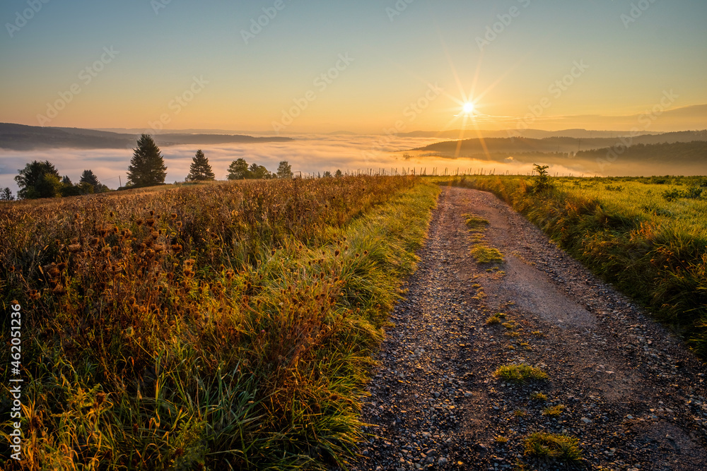 Road and meadow in sunrise with sunstar and fog in valley
