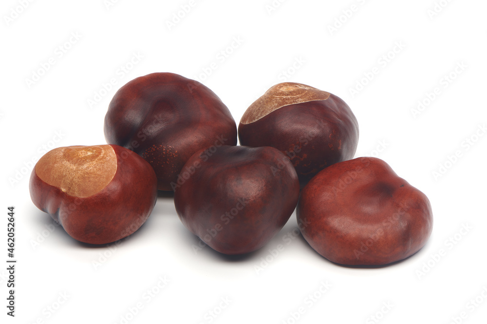 Group of horse chestnuts isolated on white background. Autumn nature harvest. Group of horse chestnuts isolated on white background. Autumn nature harvest.