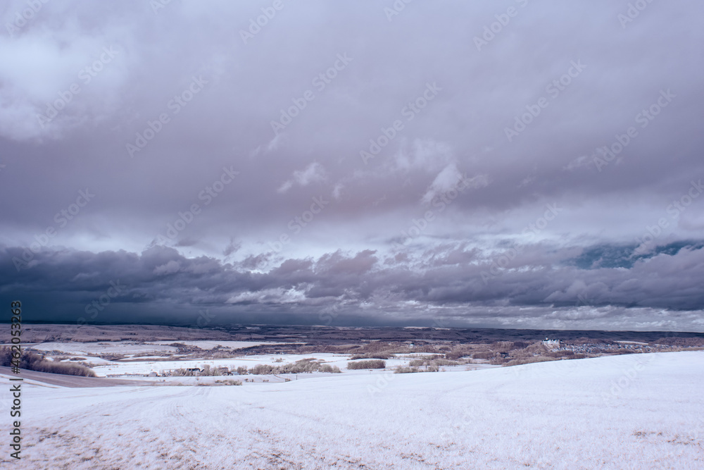 infrared photography - surreal ir photo of landscape with trees under cloudy sky - the art of our world and plants in the invisible infrared camera spectrum infrared photography - surreal ir photo of landscape with trees under cloudy sky - the art of our world and plants in the invisible infrared camera spectrum