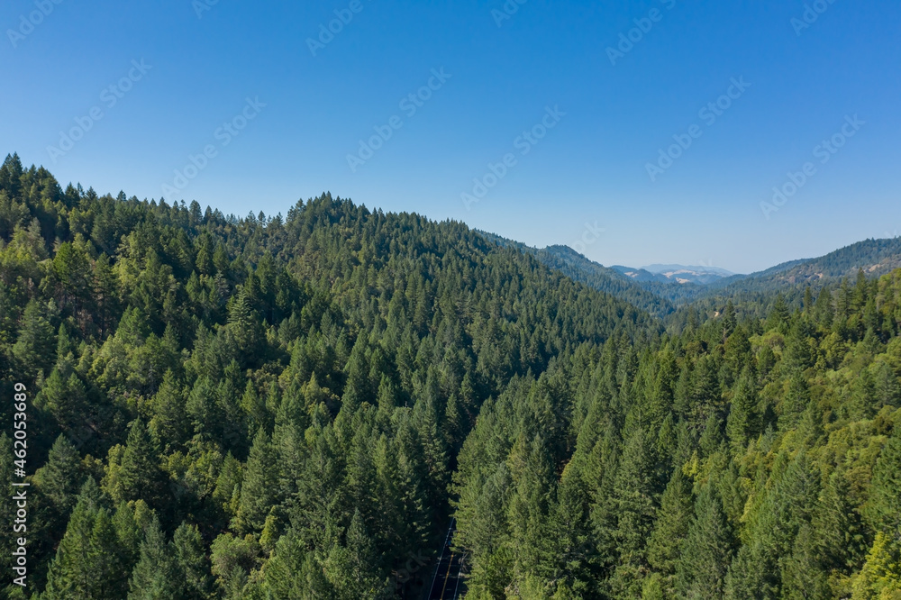 Aerial view of a hills with dense forests in a north California, United States