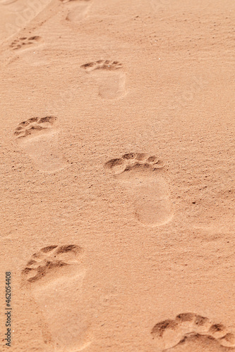 Footprint on the beach on a sunny day