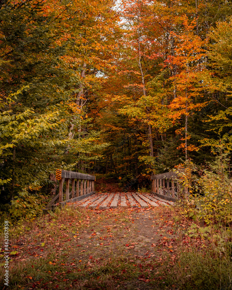 Fall foliage roads