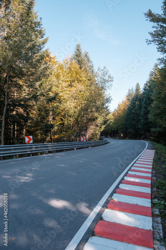 Racing track in deep forest with red and white kerbs