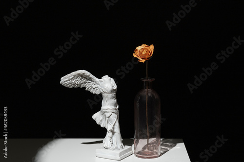 Victoria samothracia helena with vase and dried flower on white shelf
