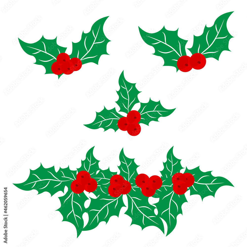 Holly berry or ilex plant. Set of Christmas symbol vector illustrations