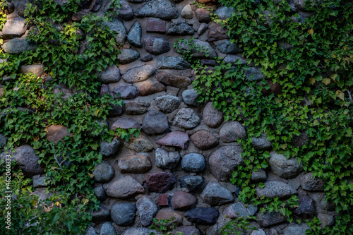 green moss on the stone