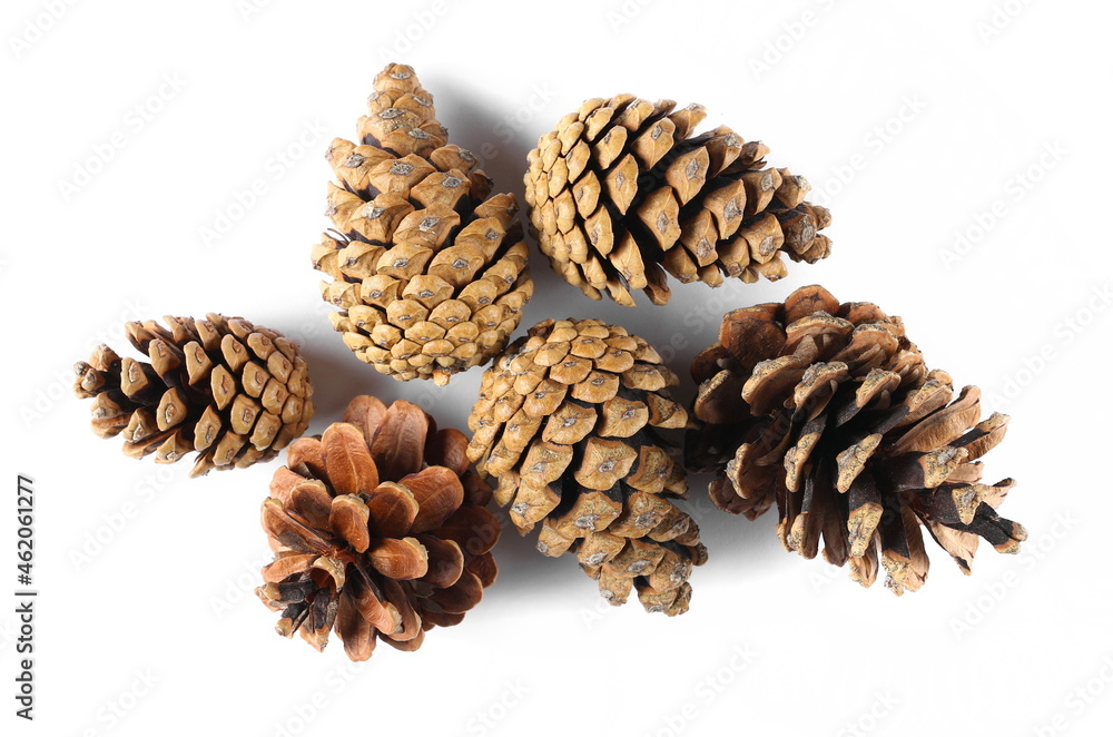Pine cones isolated on white background, top view Pine cones isolated on white background, top view