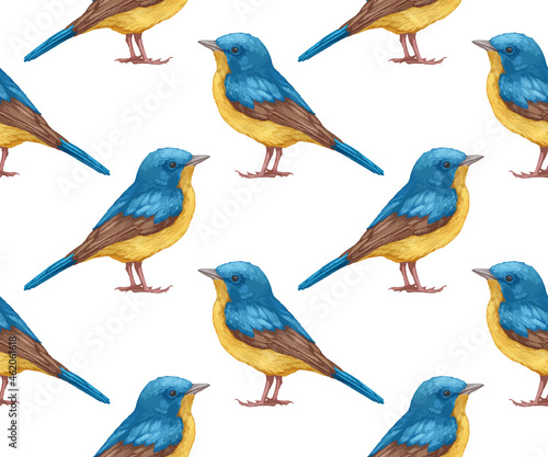 Seamless Pattern with hand-drawn Blue Flycatcher, digitally colored, vector