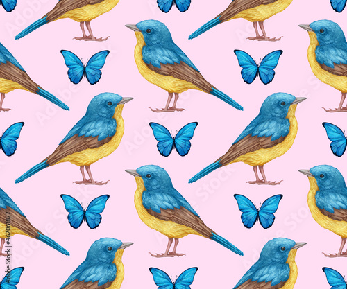 Seamless Pattern with hand-drawn Blue Flycatcher and butterflies, digitally colored