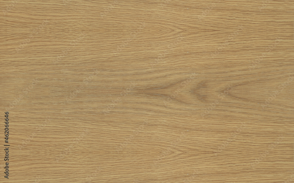 Fototapeta premium Crown cut natural oak wood veneer bookmatched