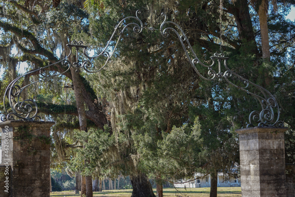 Cumberland Island, Georgia, USA: The gate of Dungeness, a ruined mansion, amid palm trees and Southern live oaks - Quercus virginiana - draped with strands of Spanish moss - Tillandsia usneoides.