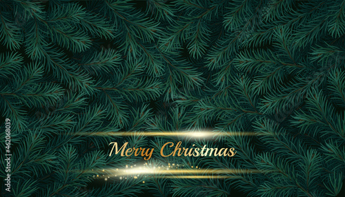 ) Realistic vector Christmas tree branches background. Christmas decoration concept 