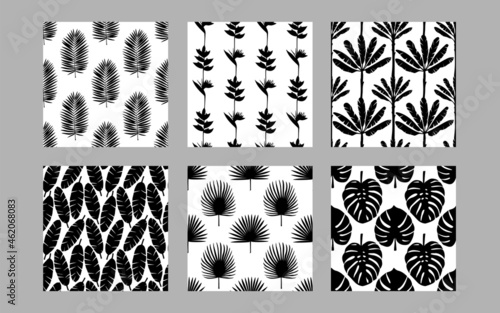 Tropical exotic plants seamless patterns set