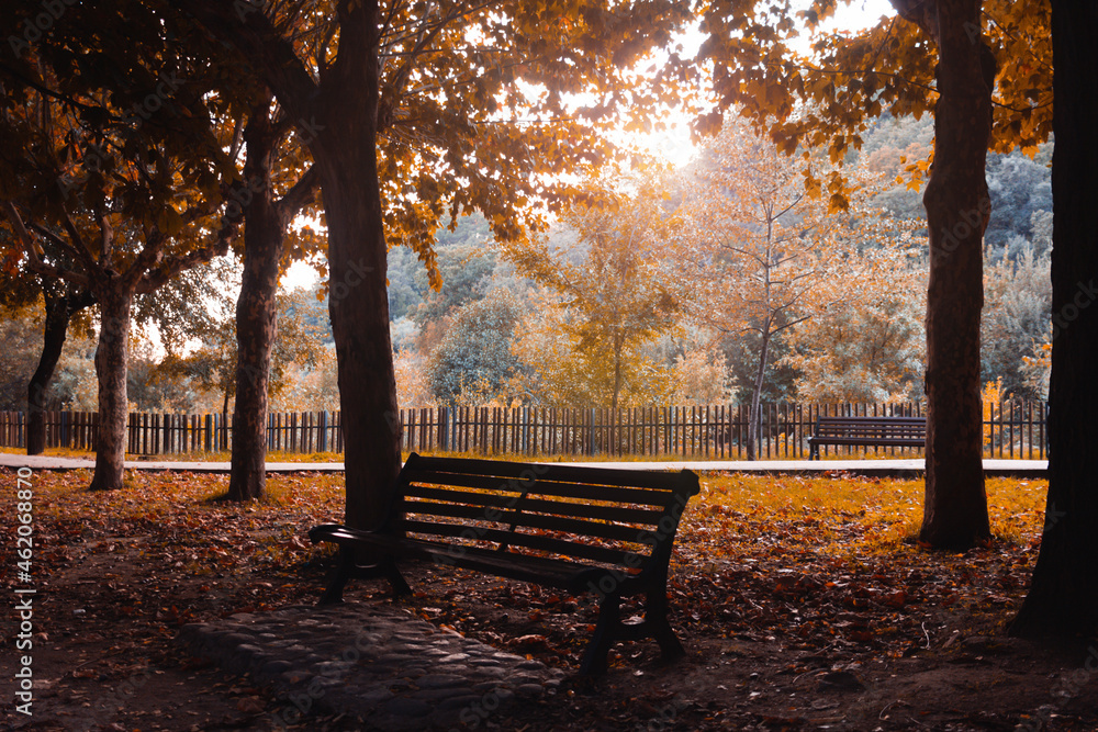 Bench surrounded by fallen leaves in a park in autumn. Copy space.
