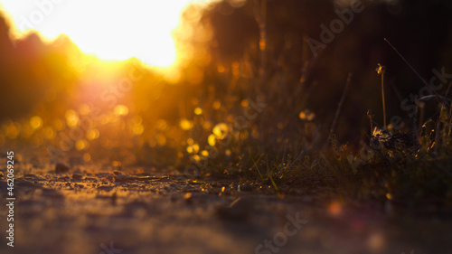 Macro de cailloux sur un chemin de terre, illuminés par le coucher du soleil, en contre-jour