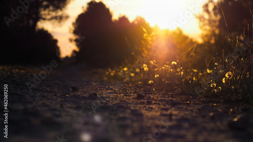 Macro de cailloux sur un chemin de terre, illuminés par le coucher du soleil, en contre-jour