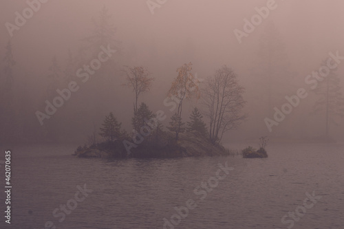 Fog. Autumn and the fog is so dense it is difficult to see more than a couple of meters. © SteinOve