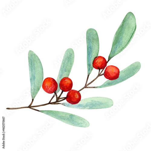 Bright Christmas watercolor mistletoe and holly berry illustration for New Year greeting cards
