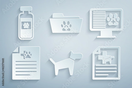 Set Dog, Clinical record pet on monitor, Medical certificate for dog cat, , veterinary folder and Pets vial medical icon. Vector