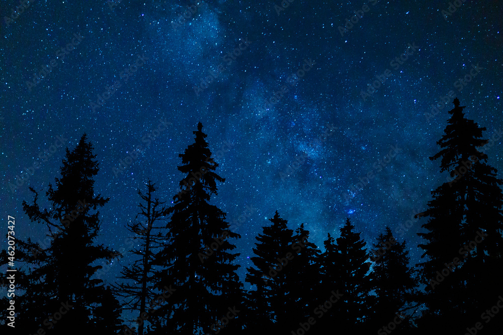 Blue Night Sky Stars And Milky Way Towering Pine Trees Stock Photo ...