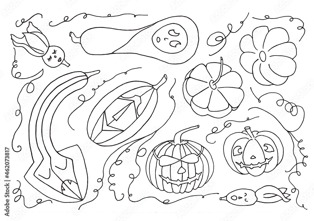 Halloween pumpkin doodle line autumn october illustration isolated white.