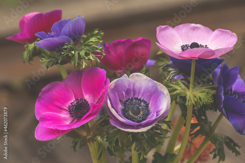 anemone bouquet