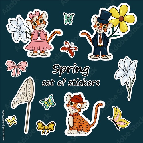 Set of stickers with the symbol of the year of the tiger according to the Chinese calendar. Stickers with spring elements, flowers, butterflies, butterfly net. Vector cartoon style