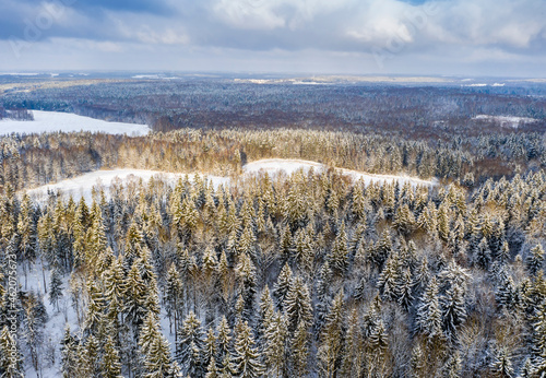 Drone shot flying on winter forest, aerial bird-eye view