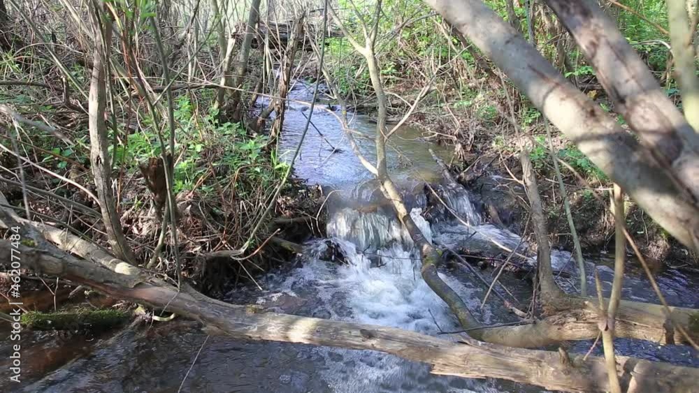 Fast stream with clear water in the forest. Spring in the forest. Fast stream with clear water in the forest. Spring in the forest.